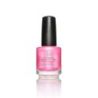  Jessica CNC Nuance:   510 Kensington Rose 