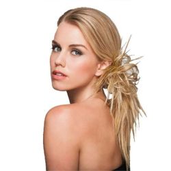 HAIRDO SPIKY CLIP