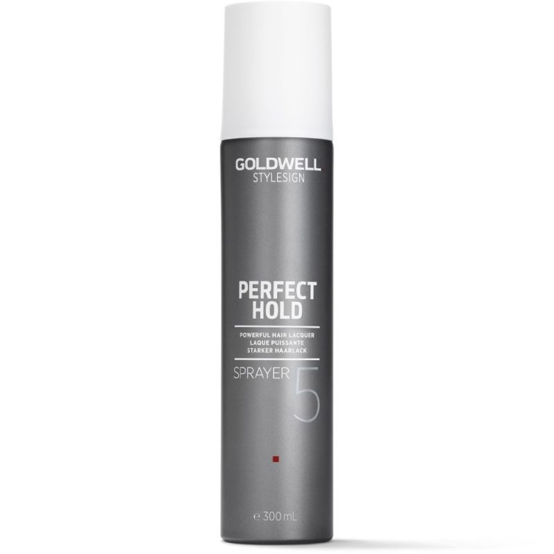STYLESIGN PERFECT HOLD SPRAYER