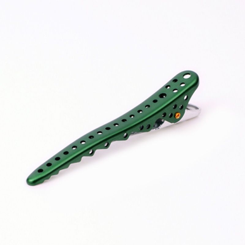 SPAZZOLA LUSTER AEROZAURUS ECO STYLER YS-AZ34