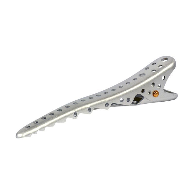 SPAZZOLA LUSTER AEROZAURUS ECO STYLER YS-AZ34