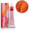  Nuance Color Touch:   0.34 Oro Ramato 