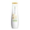 BIOLAGE SMOOTHPROOF SHAMPOO