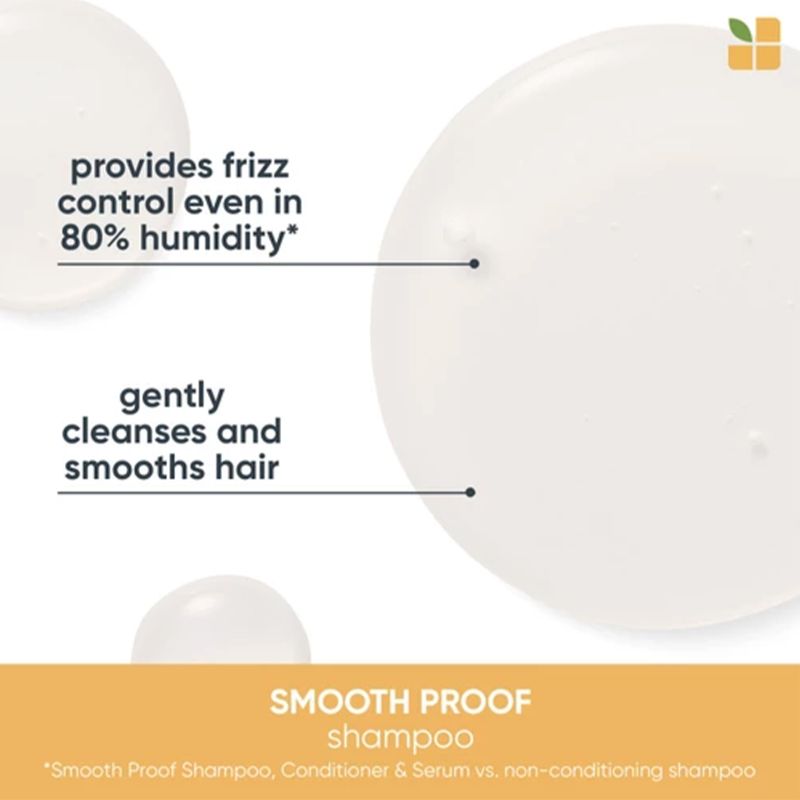BIOLAGE SMOOTHPROOF SHAMPOO