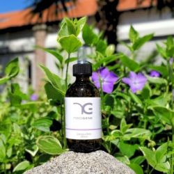 SINERGIA VISO EFFETTO ANTI ETA'