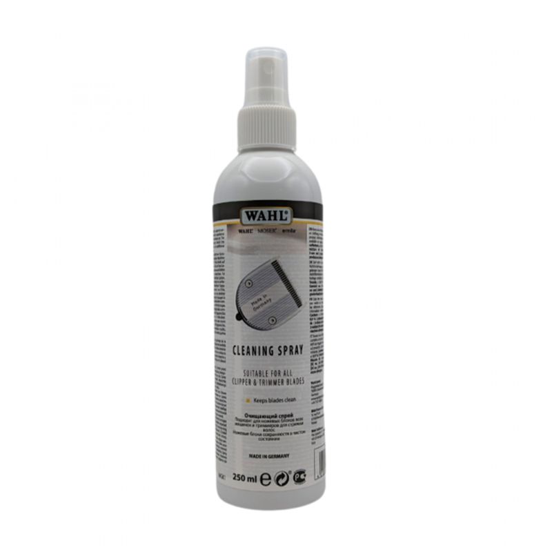 SPRAY IGIENIZZANTE 250 ML