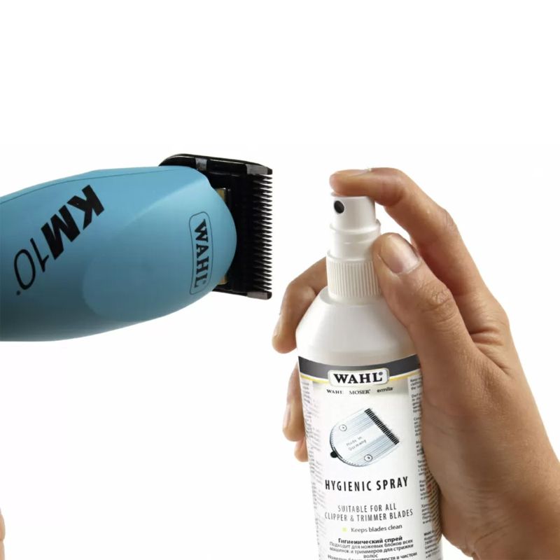 SPRAY IGIENIZZANTE 250 ML