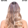 SEMI DI LINO NUTRITIVE SHAMPO