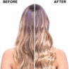 SEMI DI LINO NUTRITIVE CONDITIONER